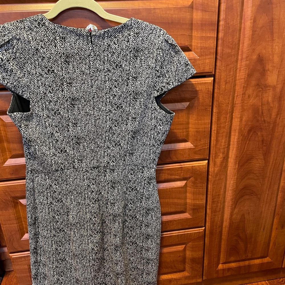 Express Dress - Picture 3 of 3